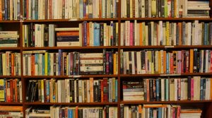 books on shelves