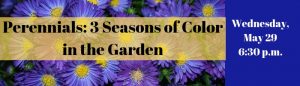 perennial program with purple flower background