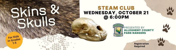 slide for skins and skulls program